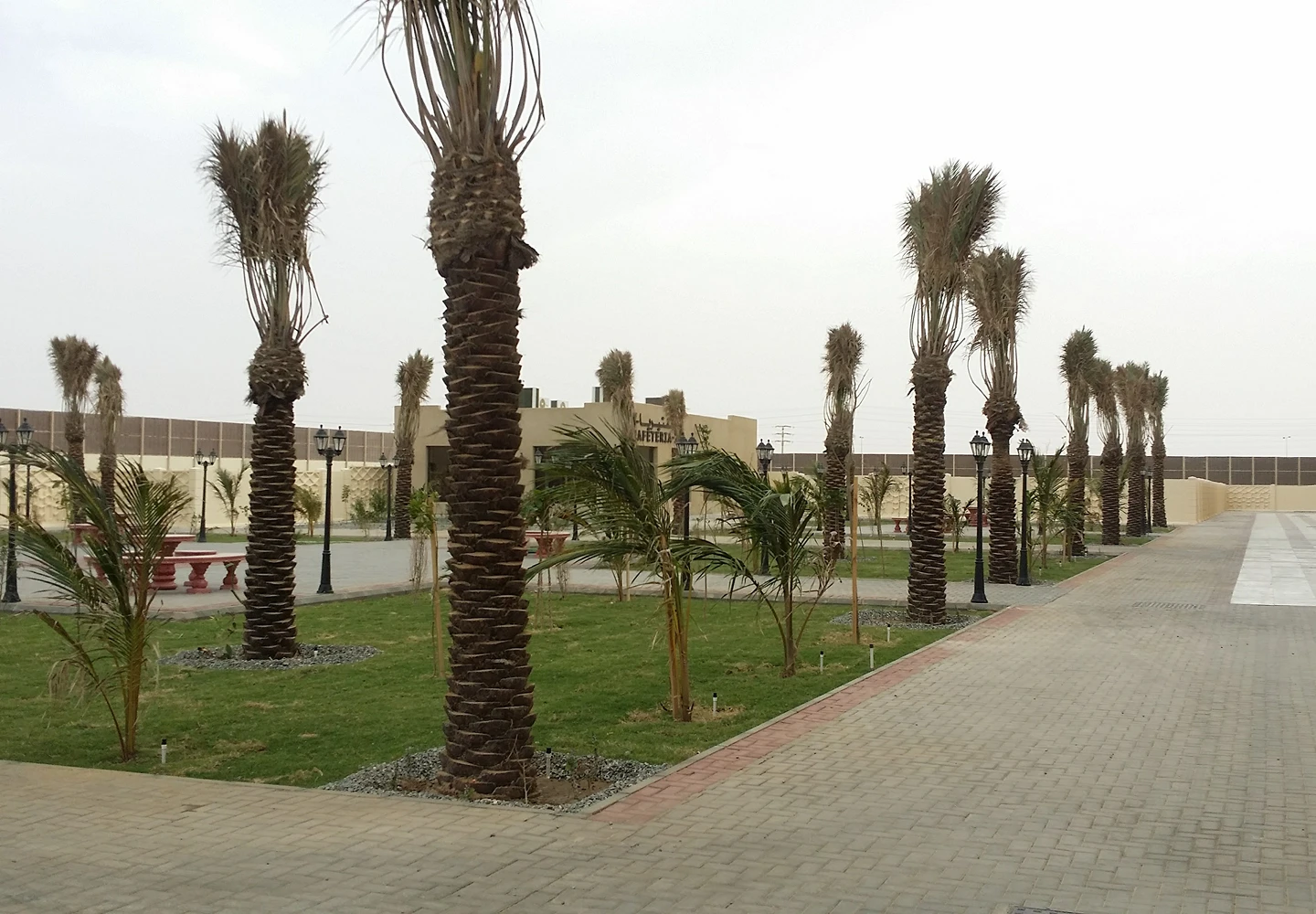 IMG-20251002-WA0019 32 (1)